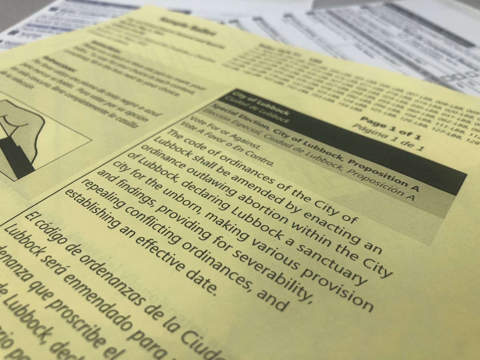 Proposition A, Sanctuary City for the Unborn sample ballot